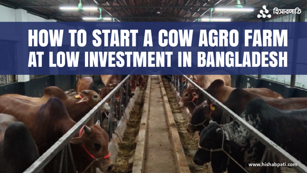 How to Start a Cow Agro Farm in Bangladesh at a Low Investment?