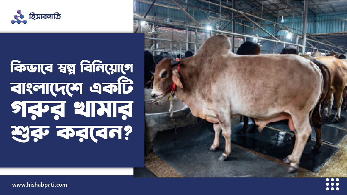 কিভাবে স্বল্প বিনিয়োগে বাংলাদেশে একটি গরুর খামার শুরু করবেন