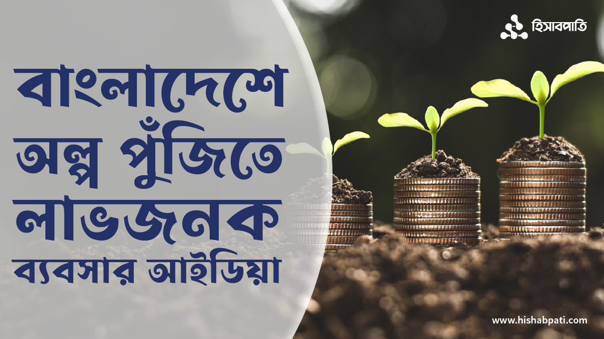 বাংলাদেশে অল্প পুঁজিতে লাভজনক ব্যবসার আইডিয়া
